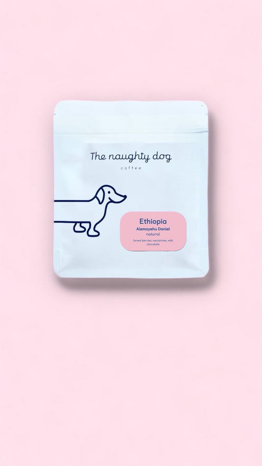 THE NAUGHTY DOG | Ethiopia Alemayehu Daniel natural 200g | Espresso