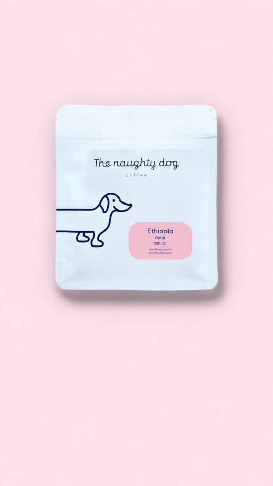 THE NAUGHTY DOG | Ethiopia Gotiti natural 200g | Filter